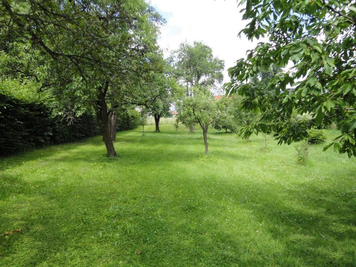 Zeilinger Villa Knittelfeld Exteriör bild